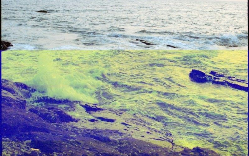 warhammer 40k space marine codex 10th edition pdf