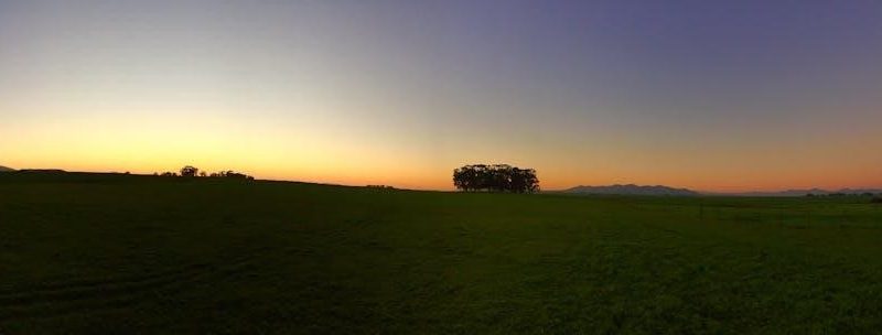 ninja dual air fryer manual pdf