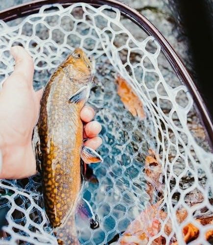 lottie brooks’s essential guide to life katie kirby