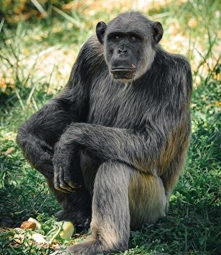 ap world history practice test pdf