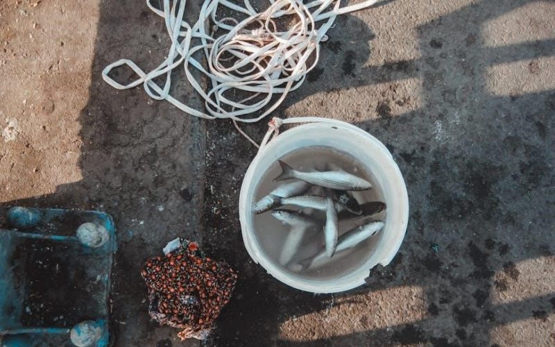 miele induction stove instructions