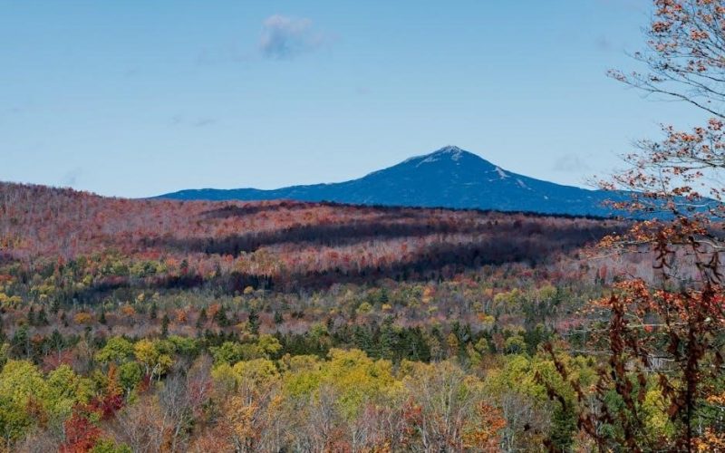 mystery ranch guide light mt frame