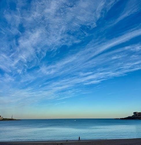 the sun also rises book pdf