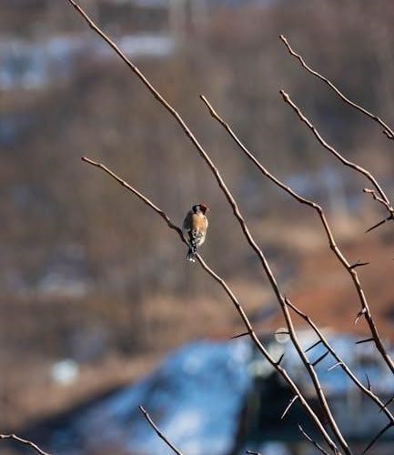 the goldfinch novel pdf