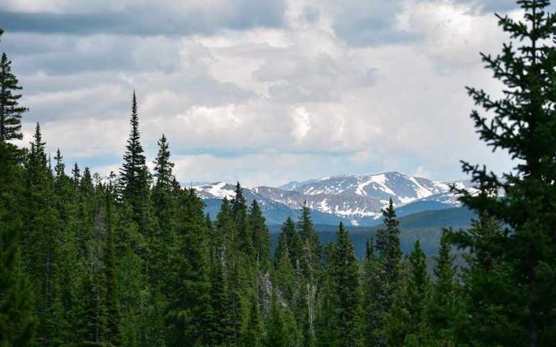 colorado form 104pn instructions