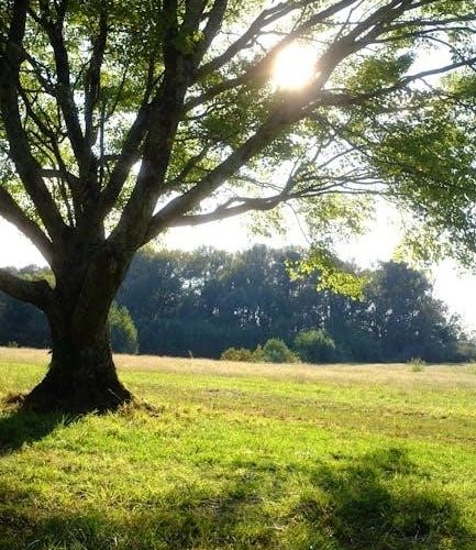 cullman shoppers guide cullman al