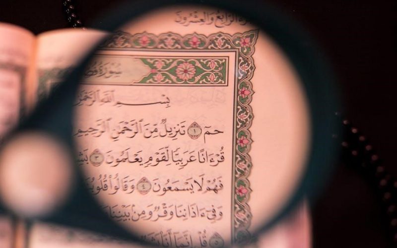 dog sees god script pdf