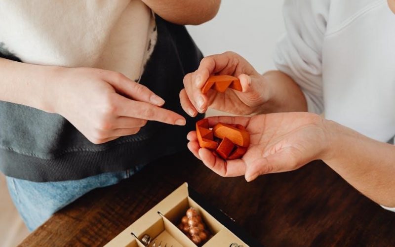 sonos play 1 instruction manual