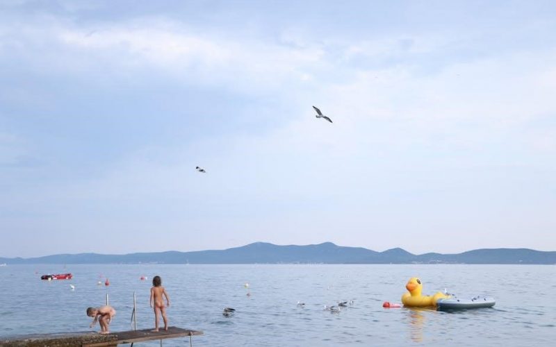 the seagull play pdf