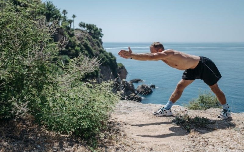 nick bare hybrid training program pdf