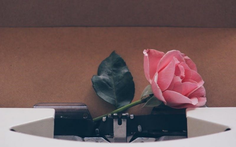 press release example pdf